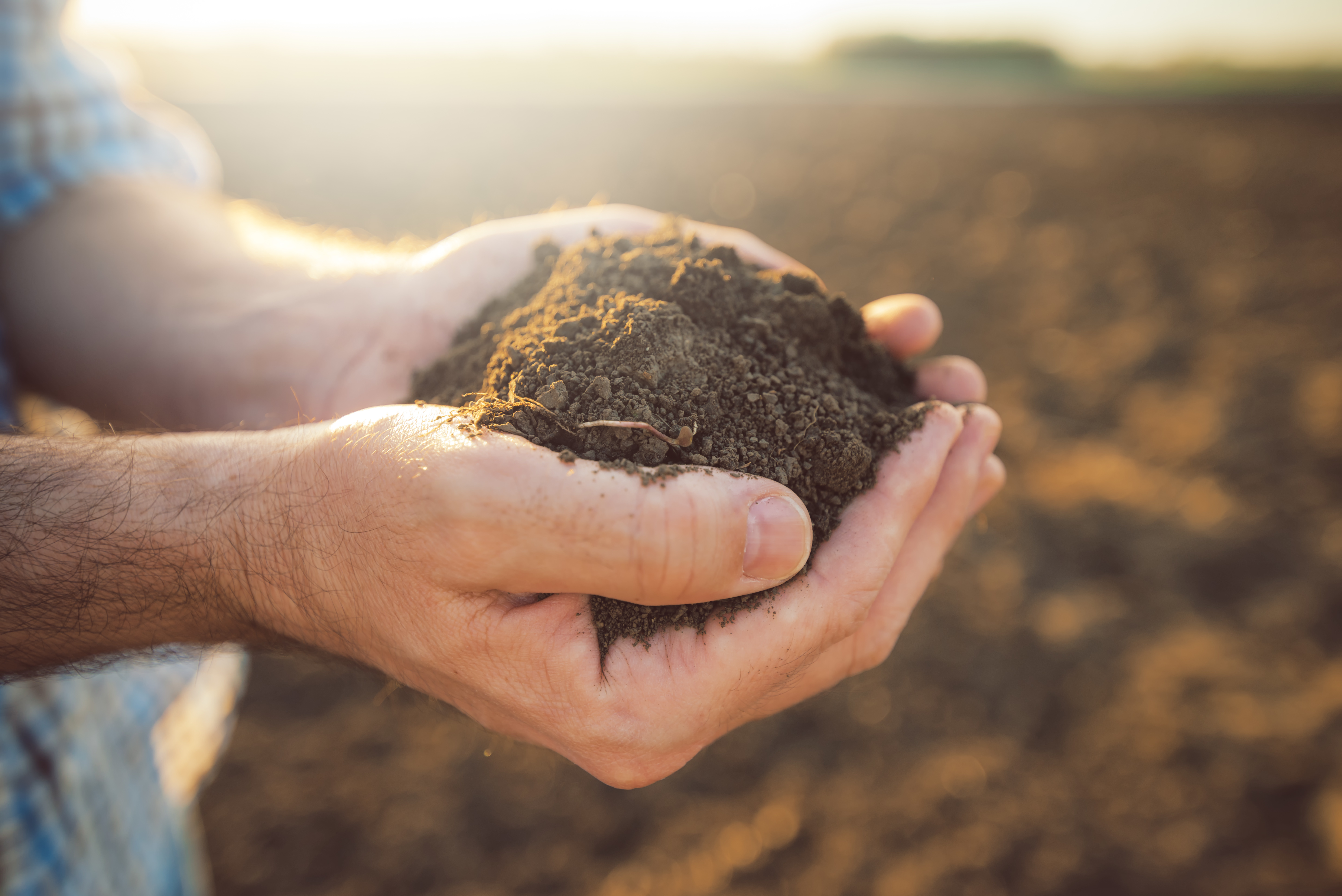 hands holding soil on farm